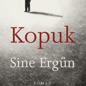 Unutmak, anımsamak ve bellek üzerine bir roman: Kopuk