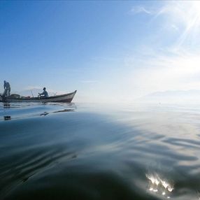 Yılan balığının Meksika'dan Türkiye'ye yolculuğu