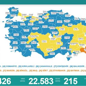 13 Kasım Türkiye'nin koronavirüs tablosu