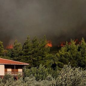 Ormana bitişik parsellerde yapı inşası yasaklandı