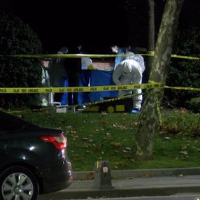 Üsküdar'da parkta erkek cesedi bulundu