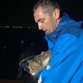 Kocaeli'de fırtınadan etkilenen kedi kurtarıldı