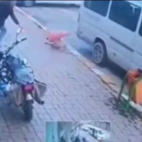 Afyonkarahisar'da bir kişi, minibüsün ezdiği köpeğe trafik dubası ile saldırdı
