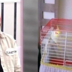 Esra Erol'da programında 'papağanımı geri ver' kavgası