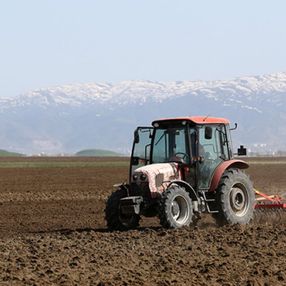 Muş Ovası'nda karlar eridi, tarım mesaisi başladı