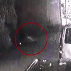 Fatih'te taş attığı polisi şehit eden zanlı tutuklandı