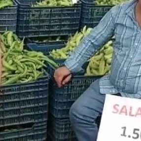 Meyve ve sebze fiyatları düşüyor