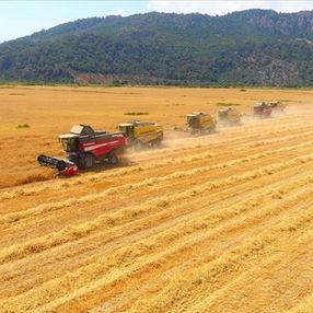 Türkiye, tarım için 10 ülkeden arazi kiralayacak