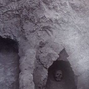 Bilim insanları vebanın kökenini keşfetti