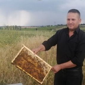 Adana'da bir kişi arı kovanlarını çalan hırsıza sosyal medyadan çağrı yaptı