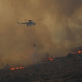 Çeşme'deki orman yangınıyla ilgili 7 gözaltı
