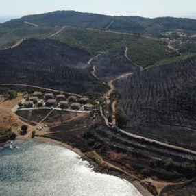 İzmir Seferihisar'da yanan alan havadan görüntülendi