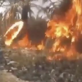 Irak işgalinde meyve bahçelerini yakan ABD askerleri