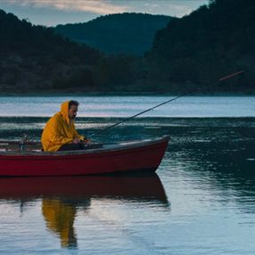 ABD'den en iyi film ödülü Ceviz Ağacı'na geldi