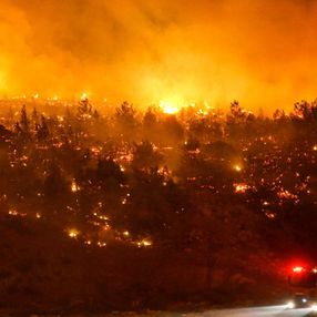 Mersin'de orman yangını: 110 ev tahliye edildi