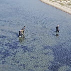 Kocaeli'de denizin üstünde yürüyen polisler, kaçak avcıları tek tek yakaladı