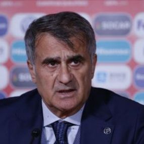 Şenol Güneş: Devlet yoksa para da yok