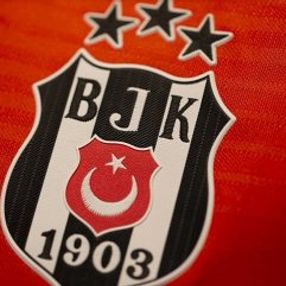 Beşiktaş'ın yeni başkanı Ahmet Nur Çebi oldu