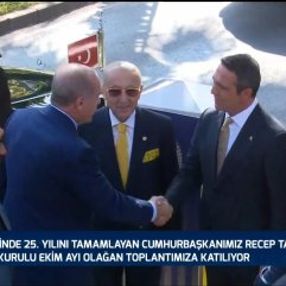 Erdoğan, Fenerbahçe Divan Kurulu üyesi oldu
