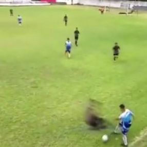 Arjantin'de insanlık dışı faul