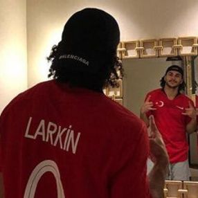 A Milli Takım'da Shane Larkin sakatlandı
