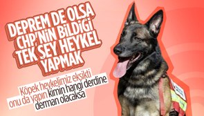 Sarıyer Belediyesi, Meksika ekibinin Adıyaman'da ölen köpeği Proteo'nun heykelini dikecek