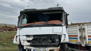Mardin'de tır kontrolden çıktı: Şoförü hastaneye kaldırıldı