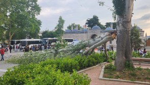 İstanbul'da turist rehberinin üzerine ağaç devrildi