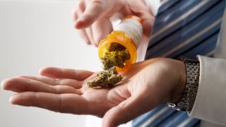 Almanya'da esrar satışı ve kullanımı yasallaşıyor