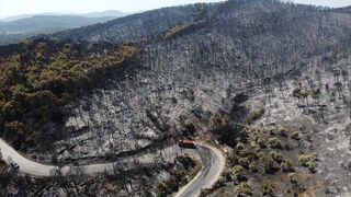 3 gün boyunca alev alev yandı! Hatay'da orman yangınından geriye kalan manzara