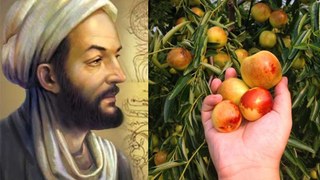 İbn-i Sina’nın ölümsüzlük meyvesi: 1 avuç tüketmek yetiyor! Kalp krizinden bel fıtığına...