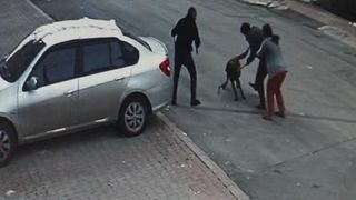 Sivas'ta tasmalı köpek saldırı! 2’si çocuk 4 kişi yaralandı