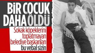 Bitlis'te köpek saldırısında kuduz olan çocuk hayatını kaybetti