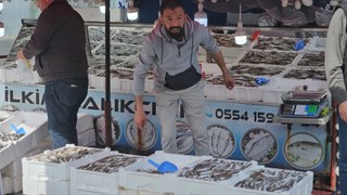 Zonguldak'tan 10 ton balıkla döndü