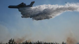 Orman yangınları ile ilgili 11 şüpheli gözaltına alındı