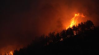 İzmir'de yangına sebebiyet veren kişi gözaltına alındı