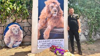 Antalya'da çiftçiye saldıran aslan öldürülmüştü: Sahibi temsili mezar yaptırdı