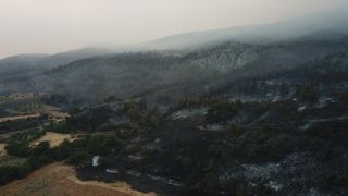 Sakarya'da yanan ormanlık alanlar görüntülendi