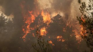 4 ilde orman yangını: Müdahaleler sürüyor