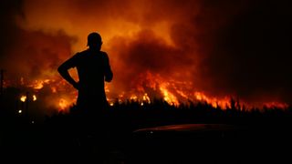 Bursa'da ormanlık alanda çıkan yangına müdahale ediliyor