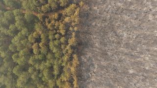 Bursa'da yanan alanlar havadan görüntülendi