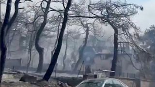 Çanakkale'de orman yangını: Alevler evlere ulaştı