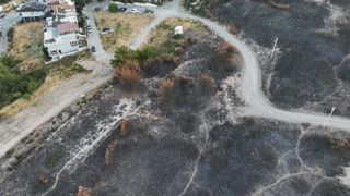 İzmir’de yanan alanlar drone'la görüntülendi