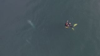 Sapanca Gölü'nde endişe yaratan kabarcıklar görüntülendi: Uzmanından ‘deprem’ açıklaması