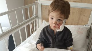 Ankara'da minik Efe'ye saldıran pitbullun sahibi: Koruma içgüdüsüyle yaptı