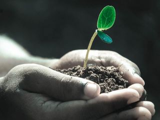 Zamansızlık, hayat ve seçimler üzerine şahane bir okuma: Gören Sen