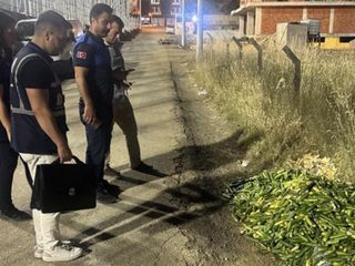 Kocaeli'de boş araziye 'salatalık' döken kişiye para cezası