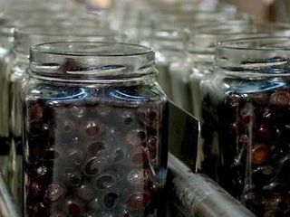 Türk zeytin üreticisi iflas ile burun buruna geldi! 25 bin tonluk üretim kapasitesine sahipti