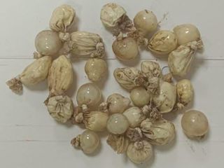 Kocaeli'de alkollü sanılan sürücünün midesinden kokain çıktı