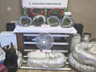 Sakarya'da uyuşturucu serasına çevrilen eve jandarma baskını